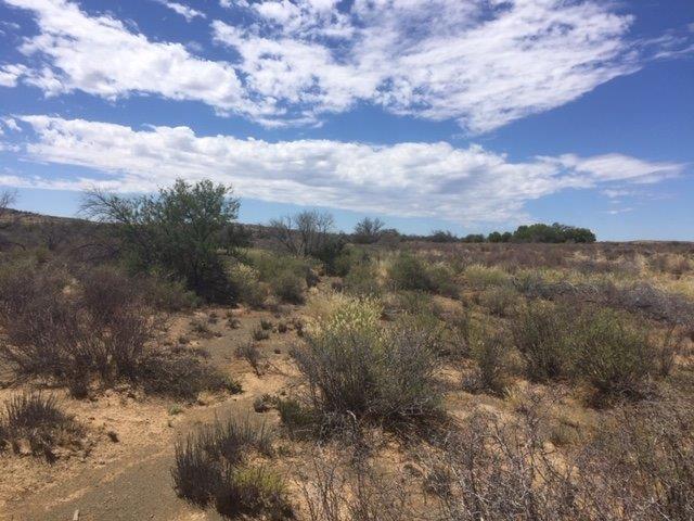 0 Bedroom Property for Sale in Leeu Gamka Western Cape